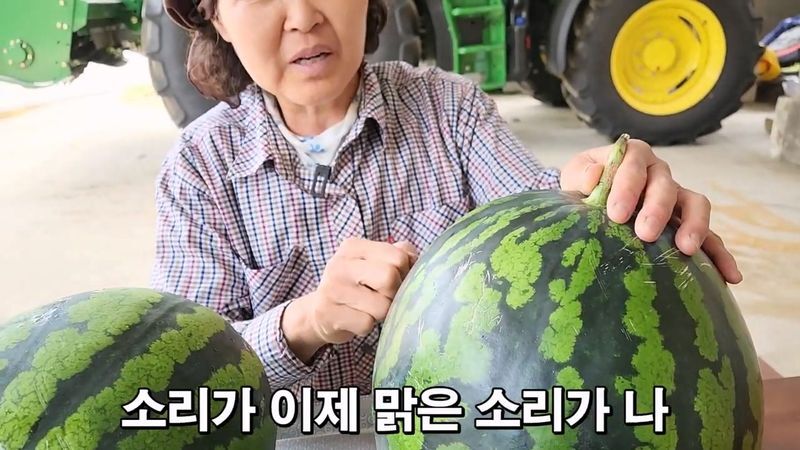 꿀수박 고르는 팁.jpg