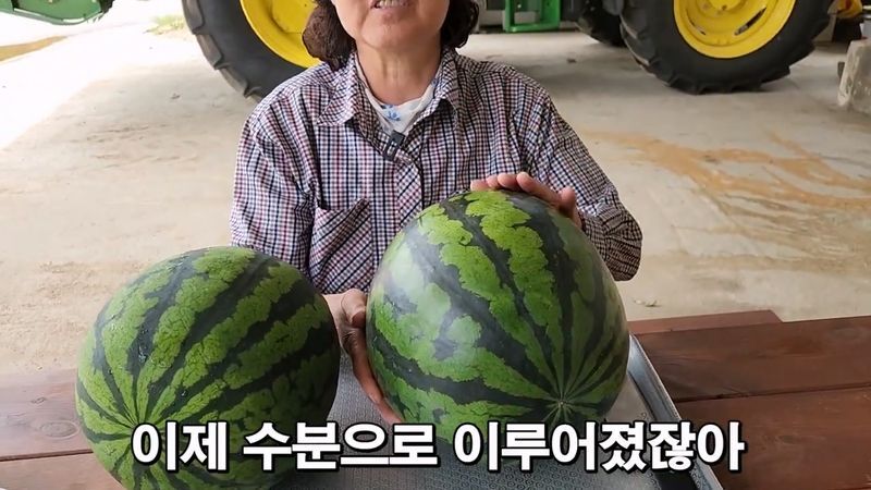 꿀수박 고르는 팁.jpg