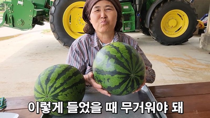 꿀수박 고르는 팁.jpg