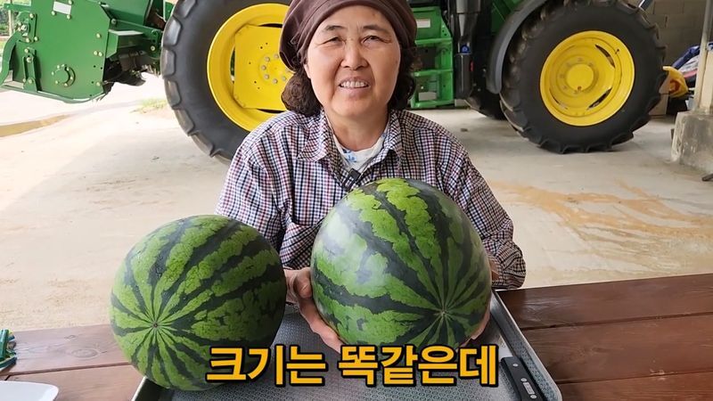 꿀수박 고르는 팁.jpg
