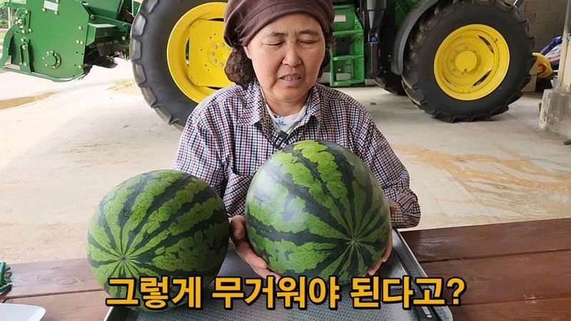 꿀수박 고르는 팁.jpg