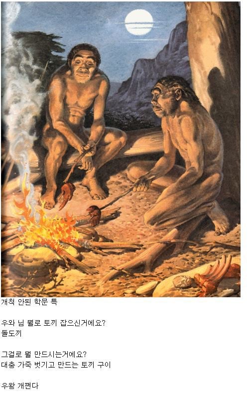 개척도에 따른 학문 특징