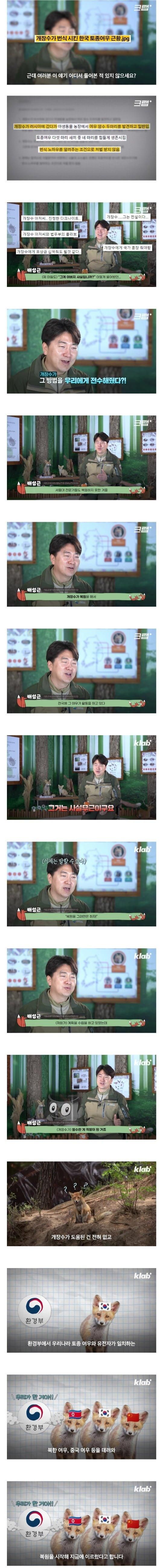 개장수가 복원한 토종 여우 스토리 최신 근황.jpg