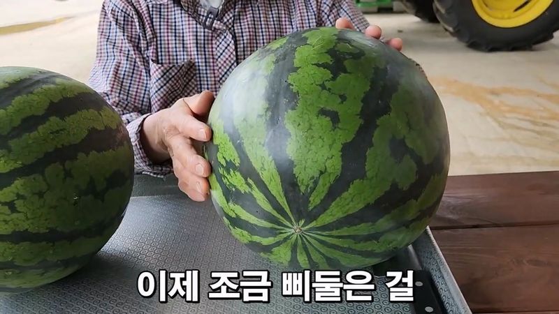 꿀수박 고르는 팁.jpg