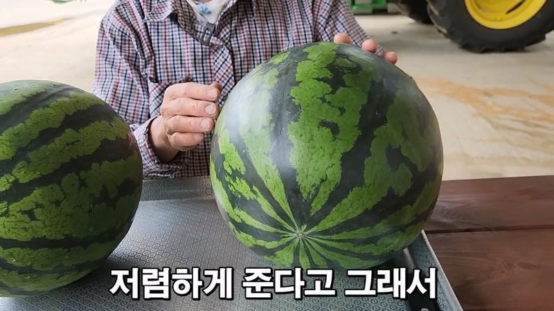 꿀수박 고르는 팁.jpg