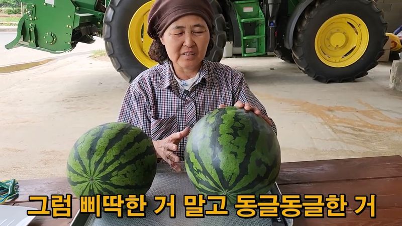 꿀수박 고르는 팁.jpg