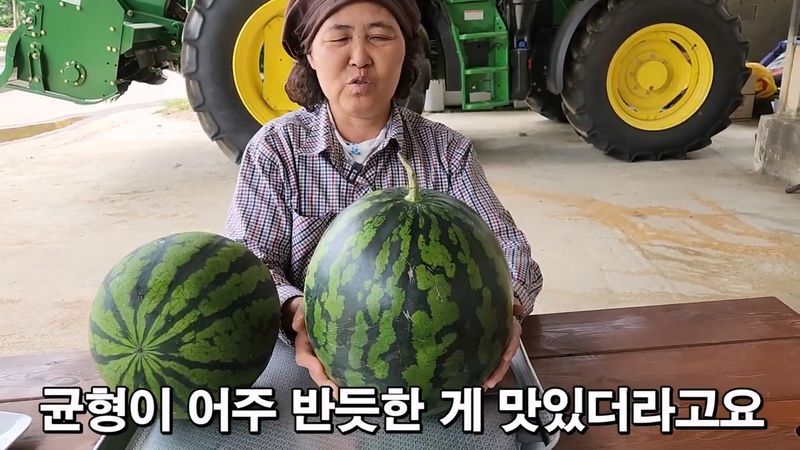 꿀수박 고르는 팁.jpg