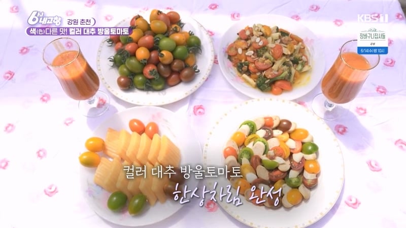 6시 내고향 거짓말 못하는 토마토농장 아버님