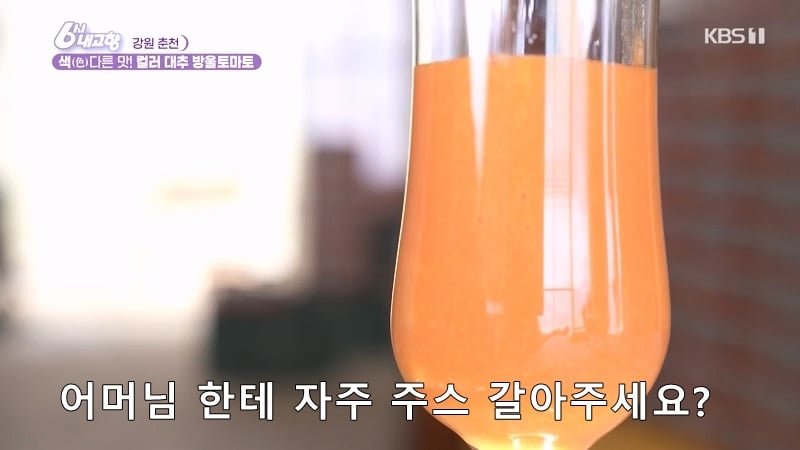 6시 내고향 거짓말 못하는 토마토농장 아버님