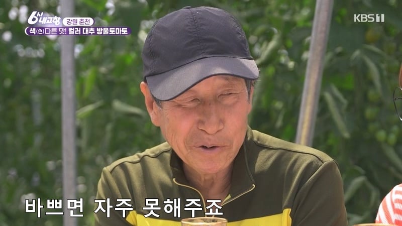 6시 내고향 거짓말 못하는 토마토농장 아버님