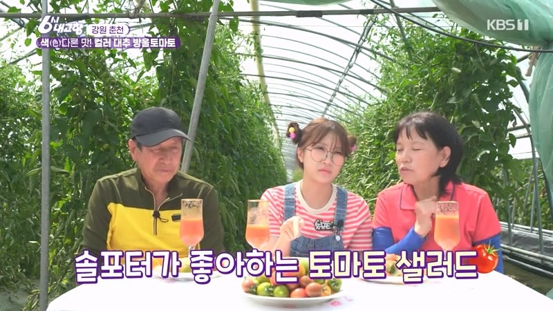 6시 내고향 거짓말 못하는 토마토농장 아버님