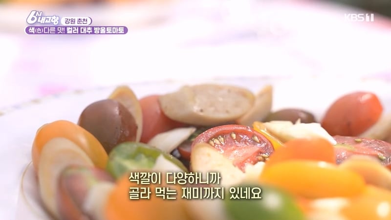 6시 내고향 거짓말 못하는 토마토농장 아버님