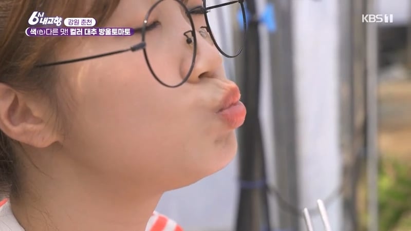 6시 내고향 거짓말 못하는 토마토농장 아버님