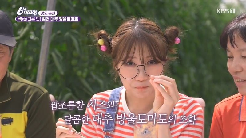 6시 내고향 거짓말 못하는 토마토농장 아버님