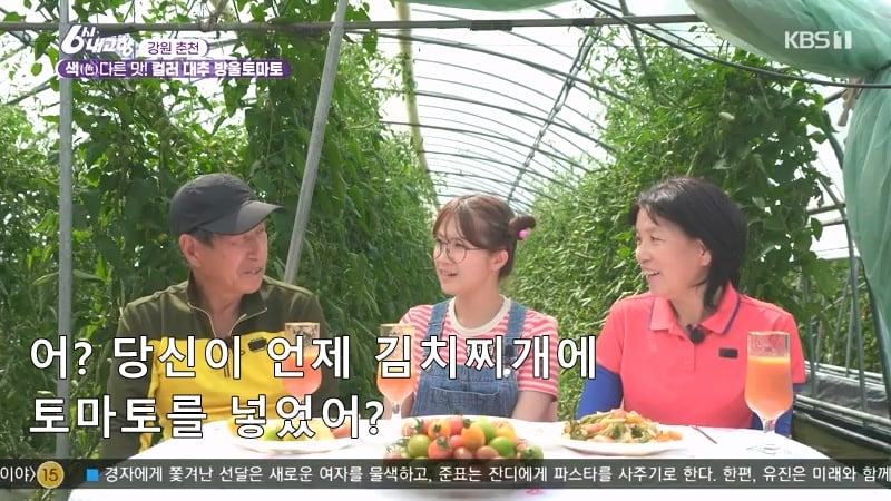 6시 내고향 거짓말 못하는 토마토농장 아버님