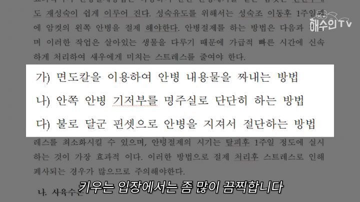 약혐) 타이거 새우 양식하는 방법