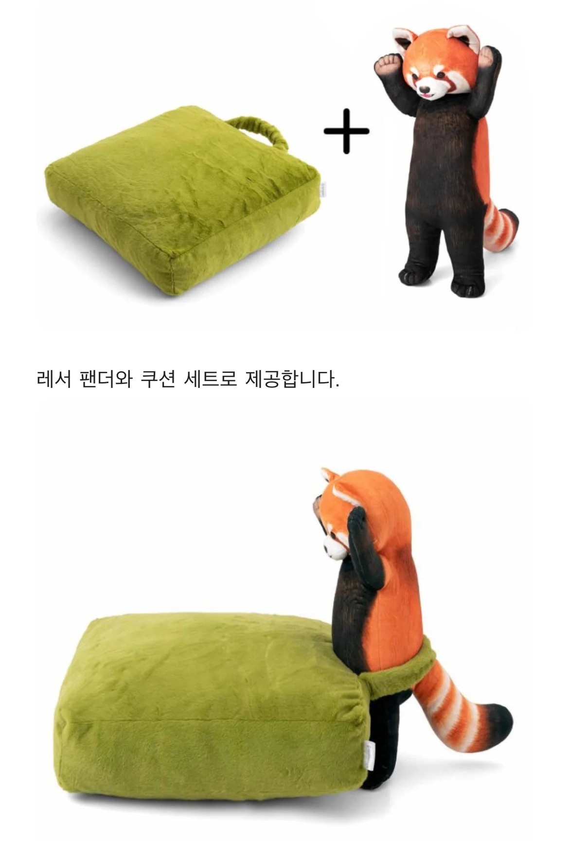 세상에서 가장 위협적인 낮잠쿠션