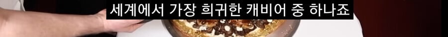 비싼 피자.jpg
