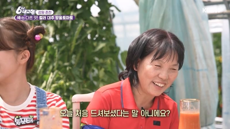 6시 내고향 거짓말 못하는 토마토농장 아버님