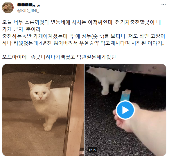 4년만에 잃어버린 고양이를 찾은 손님