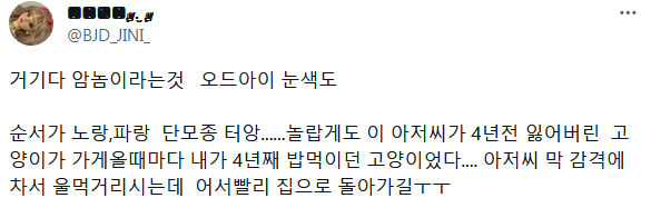 4년만에 잃어버린 고양이를 찾은 손님