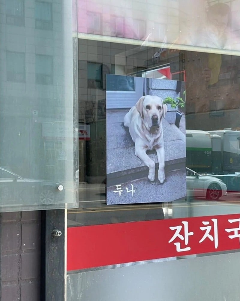 맥락없이 다짜고짜 댕댕이를 자랑하는 사장들.jpg
