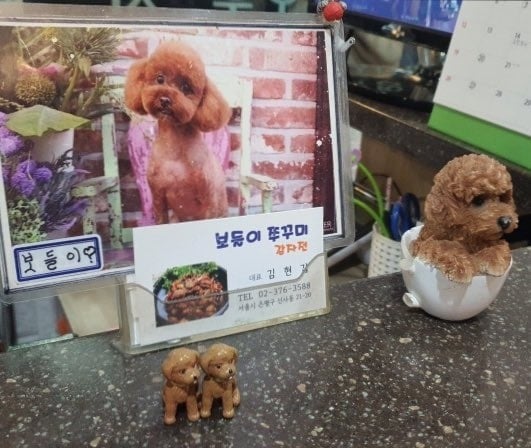 맥락없이 다짜고짜 댕댕이를 자랑하는 사장들.jpg
