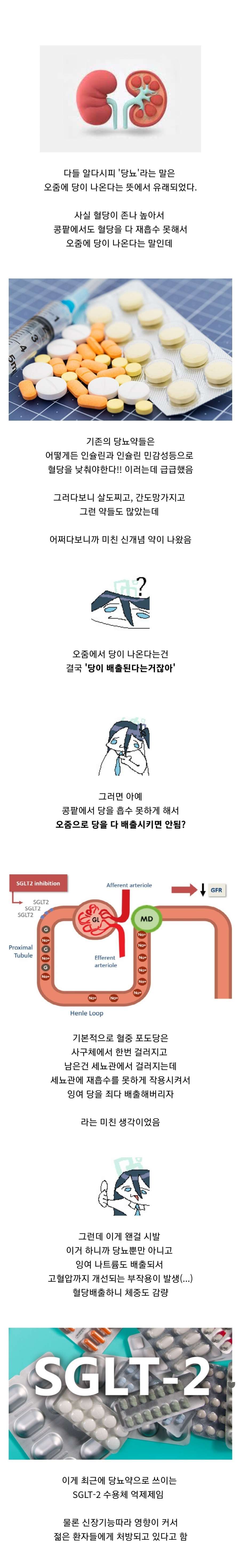 새로운 당뇨 치료법