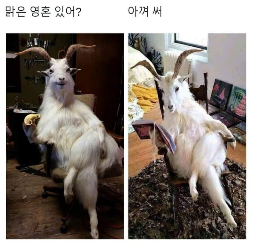 악마를 소환했다..