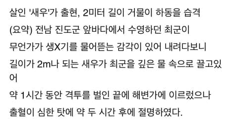 국내에서 2m 새우에 급소 물려 사망한 사건