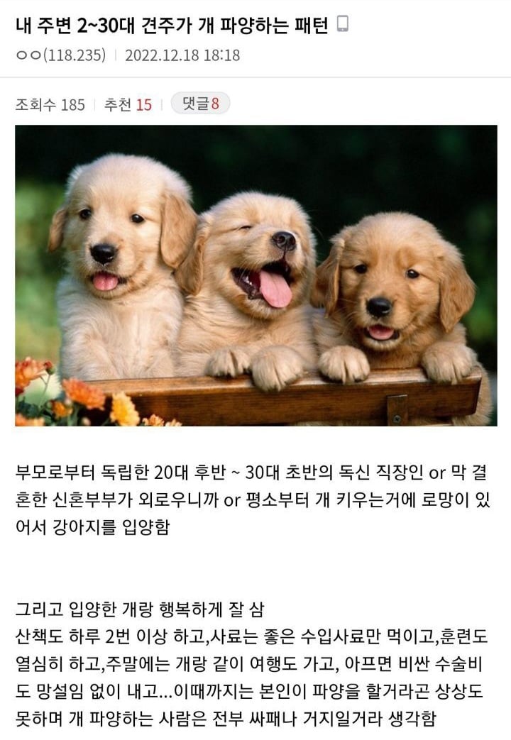 요즘 2030 개 파양 패턴ㄷㄷ...jpg