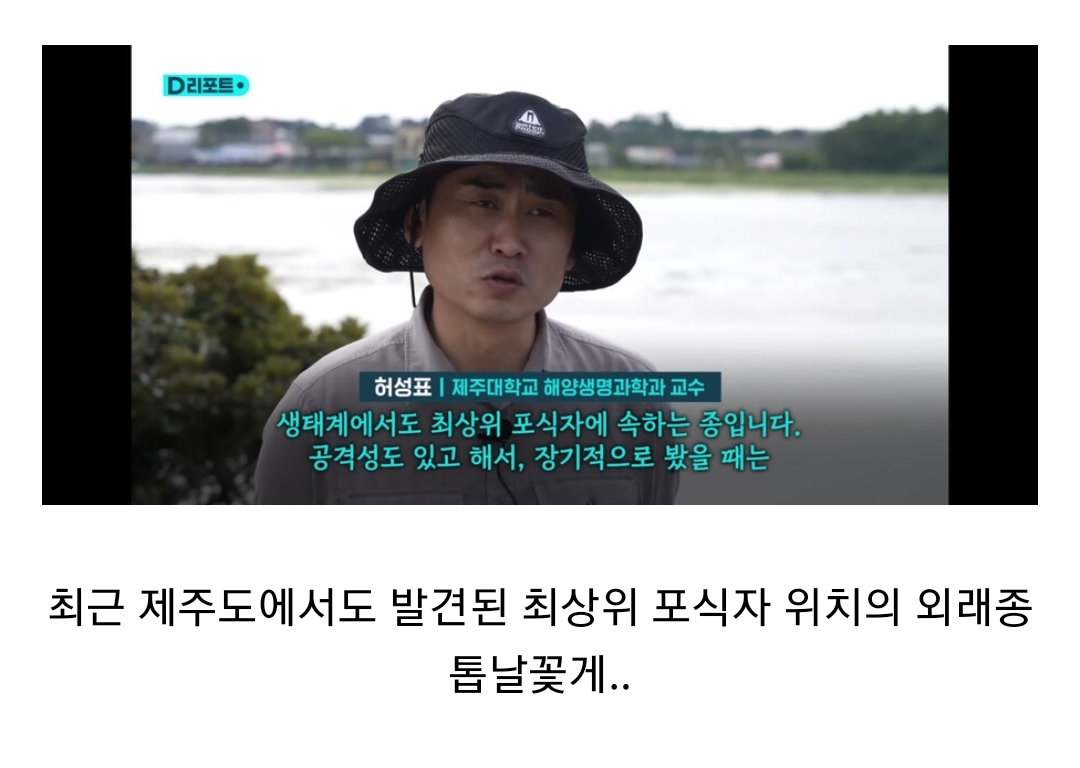 생태계 교란종 근황