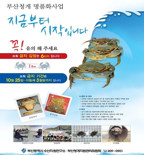 생태계 교란종 근황