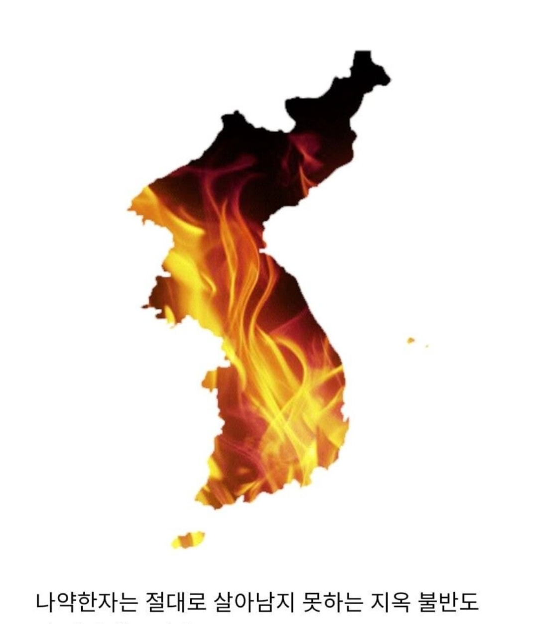 생태계 교란종 근황