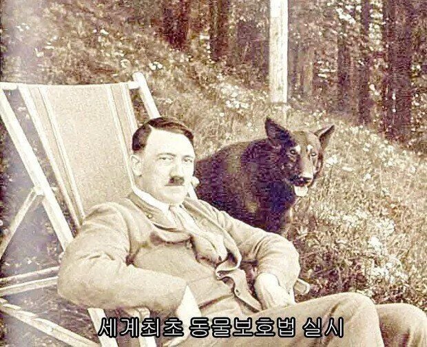 간디가말한 위대한 나라의 기준