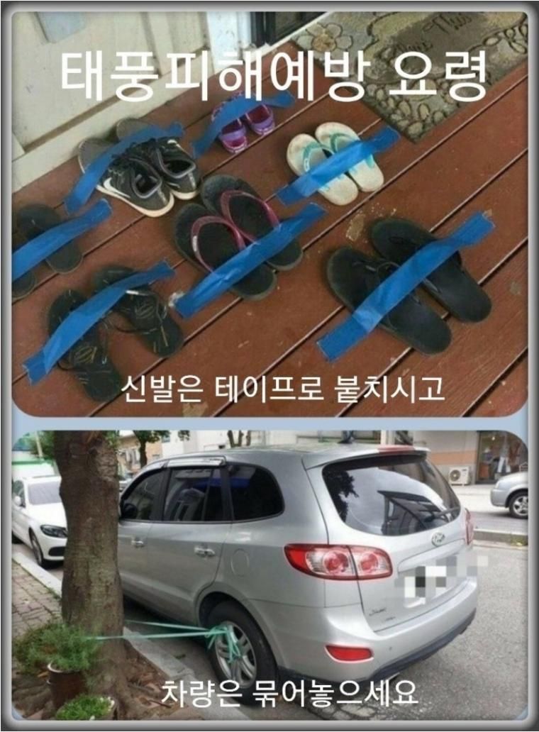 태풍 준비들하고 계신가요 꿀팁 알려드립니다