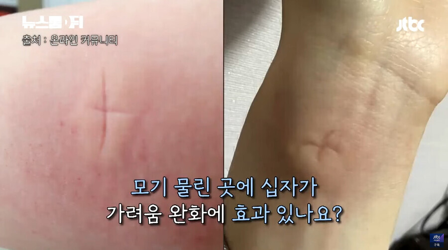 33년간 모기 연구한 교수님이 직접 말해주는 가려움 해소방법.jpg