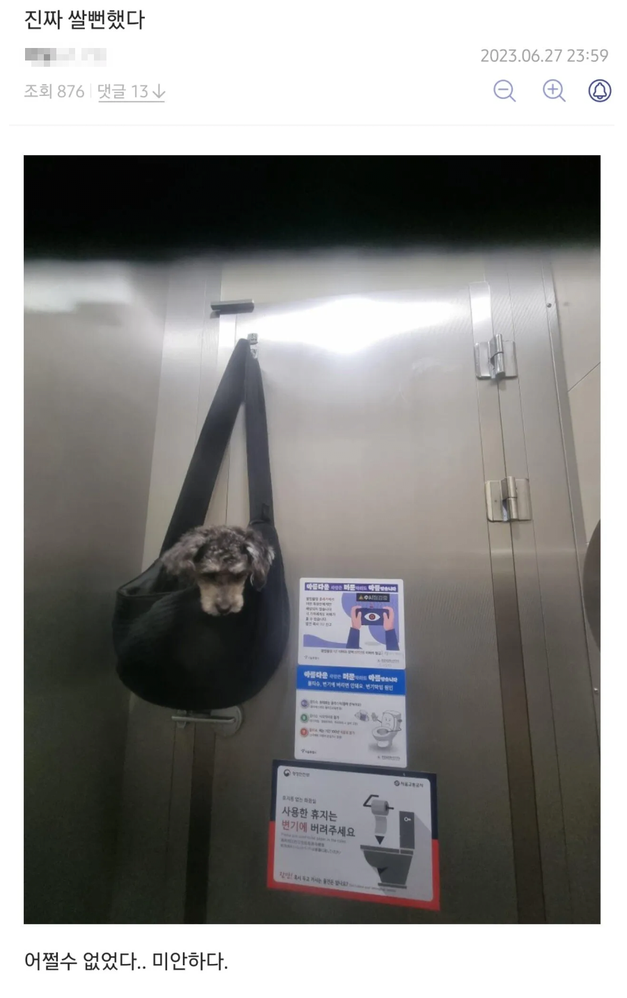 어제자 멍갤 퓰리처상 수상작