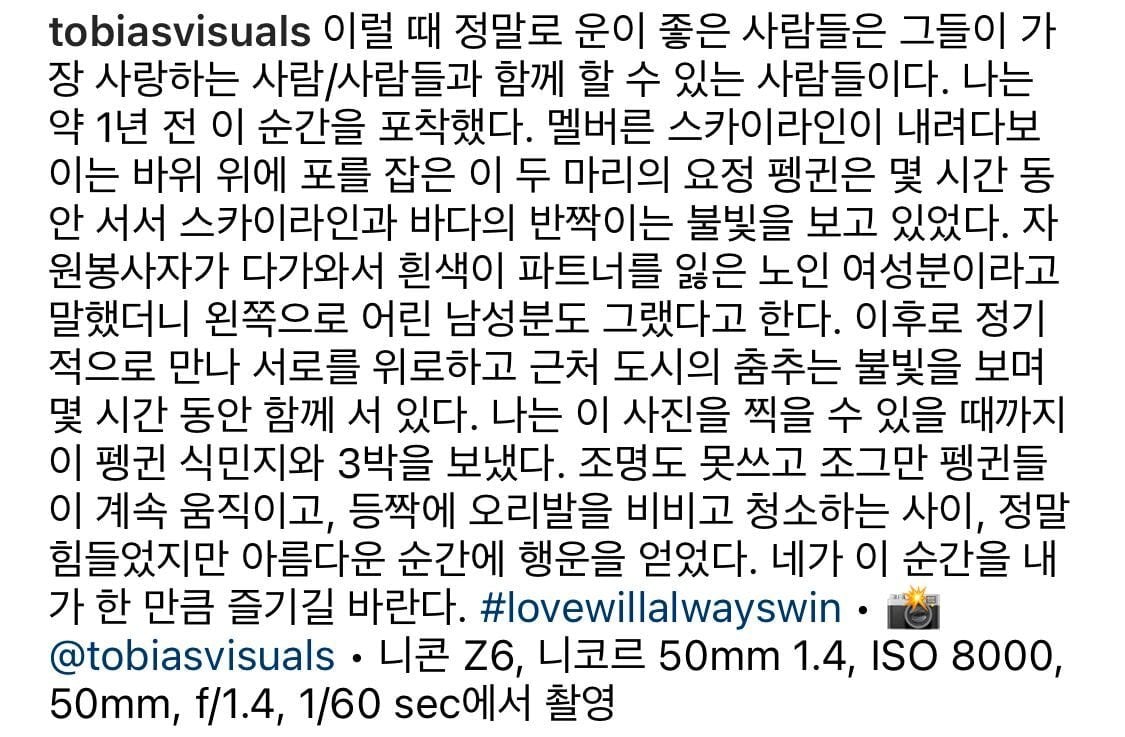 우연히 찍힌게 아니라서 신기한 사진.jpg