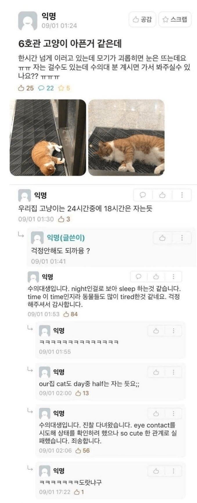 에타에서 전문용어 남발하는 수의대생.jpg