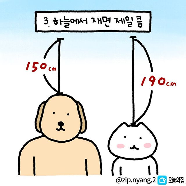 키 작으면 좋은 점 4.jpg