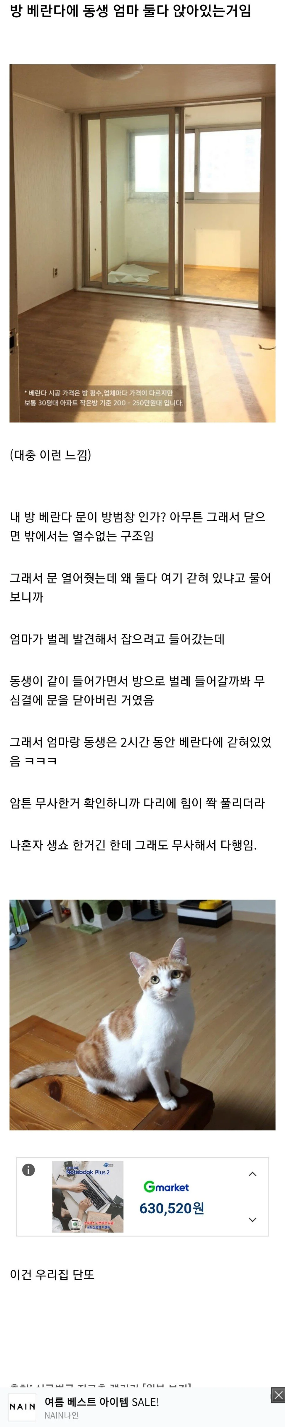오싹한 경험한 디씨인