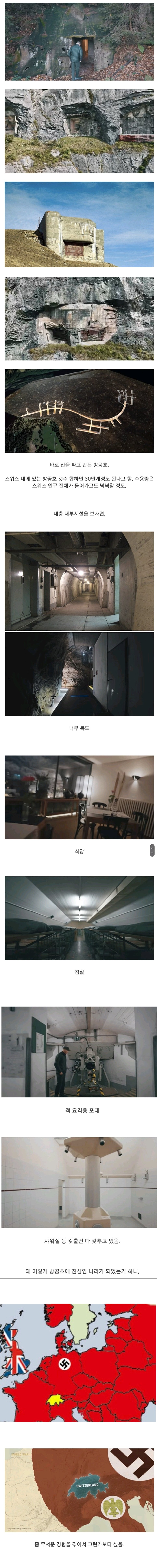스위스가 다른나라에 비해 월등히 많다는것