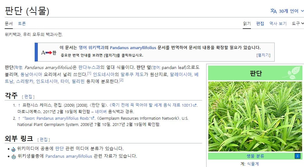 고소한 판단맛 초콜릿