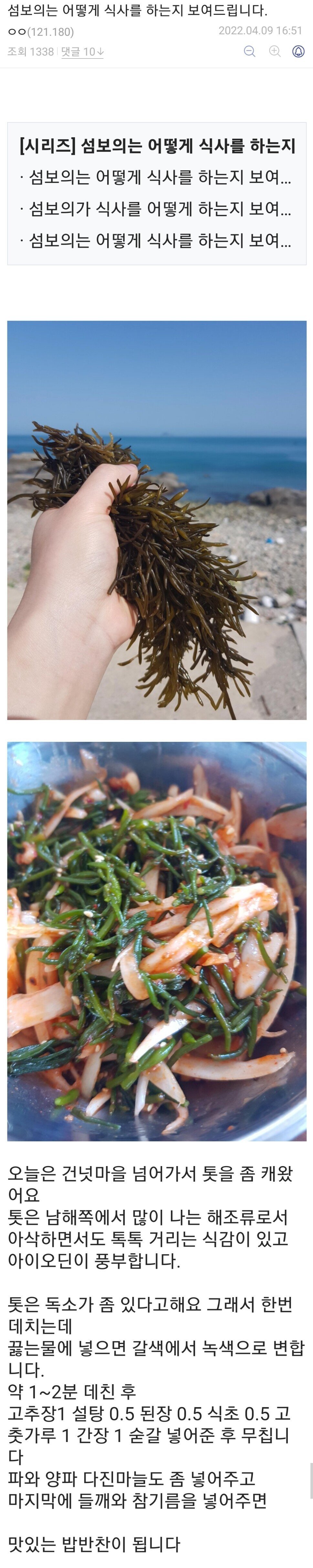 섬보의가 어떻게 식사를 하는지 보여드립니다