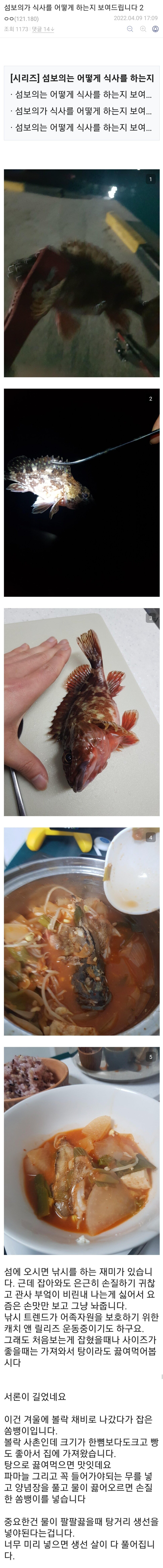섬보의가 어떻게 식사를 하는지 보여드립니다