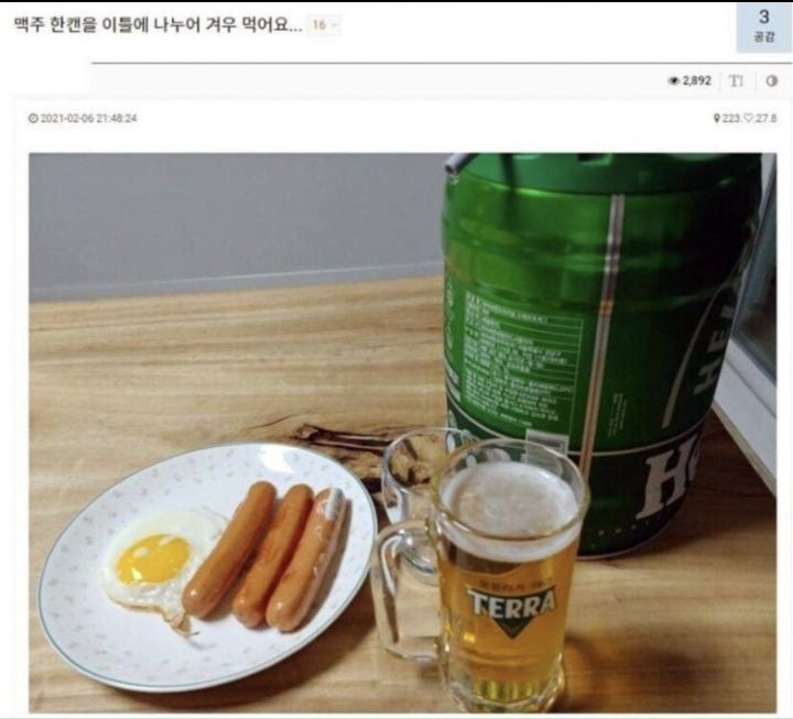 맥주 한캔을 이틀에 나누어 겨우 먹어요...