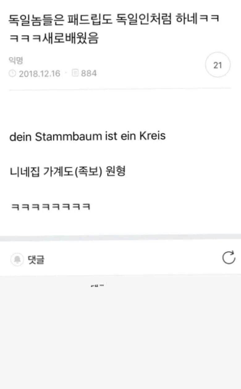 독일인에게 배운 독일식 패드립