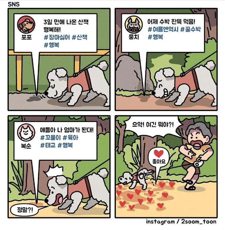 왜 5층 건물에 엘베도 없냐?! 뭐가 이렇게 많아!!