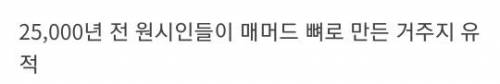 맘모스가 멸종한 이유를 잘 보여주는 유적